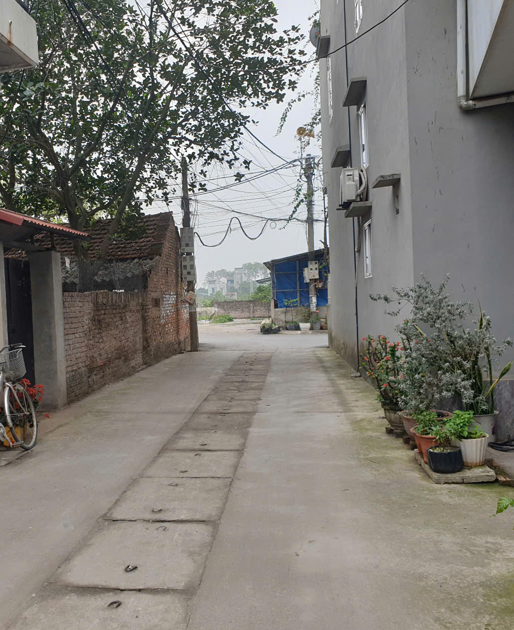 HOA HẬU CẠNH VI.N CỔ LOA. BÁN ĐẤT ĐÔNG HỘI ĐÔNG ANH, TRƯỚC ĐẤT Ô TÔ TRÁNH, GIÁ HỜI